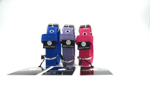 DSC_0147 Obroża o szer,2.5cm STAL NIERDZEWNA-POLECANE