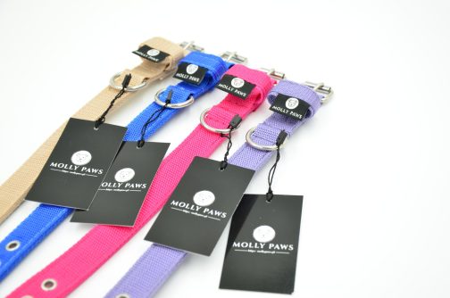 DSC_0611 Obroża o szer,2.5cm STAL NIERDZEWNA-POLECANE