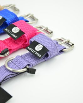 Obroża o szer,2.5cm STAL NIERDZEWNA-POLECANE