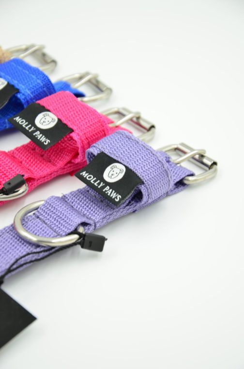 DSC_0615 Obroża o szer,2.5cm STAL NIERDZEWNA-POLECANE