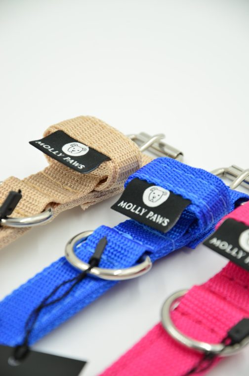 DSC_0616 Obroża o szer,2.5cm STAL NIERDZEWNA-POLECANE