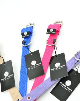 Obroża o szer. 2cm STAL NIERDZEWNA - POLECANE