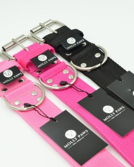 Obroża o szer. 4cm STAL NIERDZEWNA -POLECANE