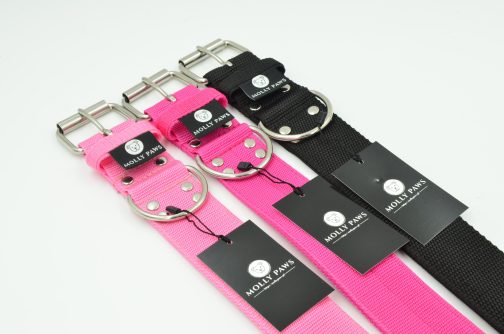 DSC_0626 Obroża o szerokości 5cm