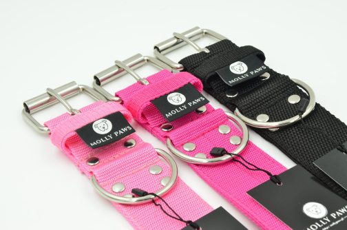 DSC_0628 Obroża o szerokości 5cm