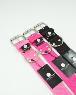 Obroża o szerokości 5cm