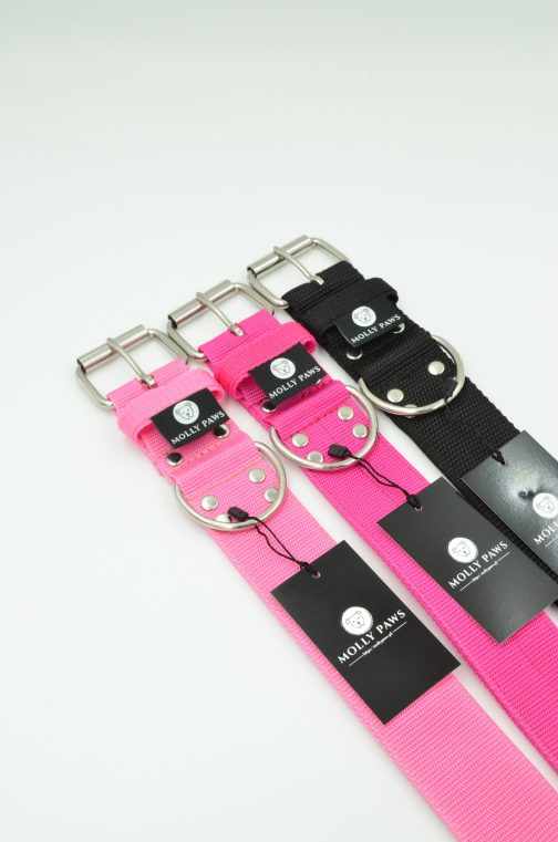 DSC_0630 Obroża o szerokości 5cm