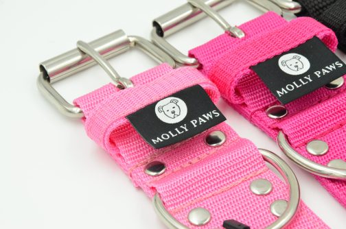 DSC_0637 Obroża o szerokości 5cm