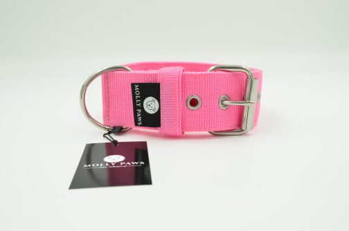 DSC_0643 Obroża o szerokości 5cm