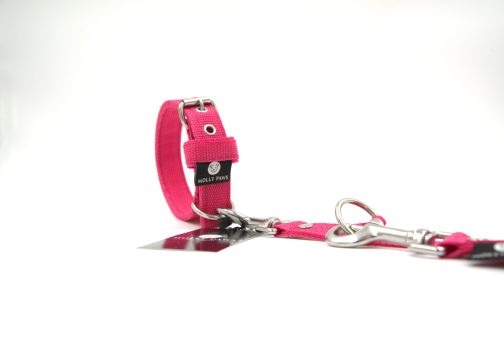 obroza szer 2,5cm Obroża o szer,2.5cm STAL NIERDZEWNA-POLECANE