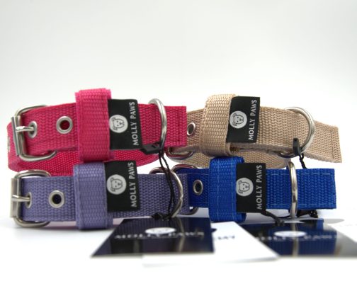 Obroża o szerokości 2.5cm z Haftem STAL NIERDZEWNA - POLECANE