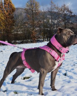 Zestaw Szelki Z Polarem o szerokości 4cm oraz smycz z rączą dł.180cm