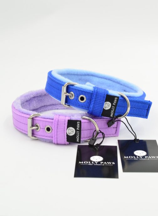 DSC_0026 Obroża z polarem o szer. 2.5cm STAL NIERDZEWNA - POLECANE