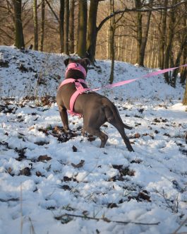 DSC_0028 Szelki z mięciutkim polarem o szer.4cm STAL NIERDZEWNA - POLECANE