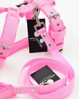 Smycz z rączką STAL NIERDZEWNA - POLECANE