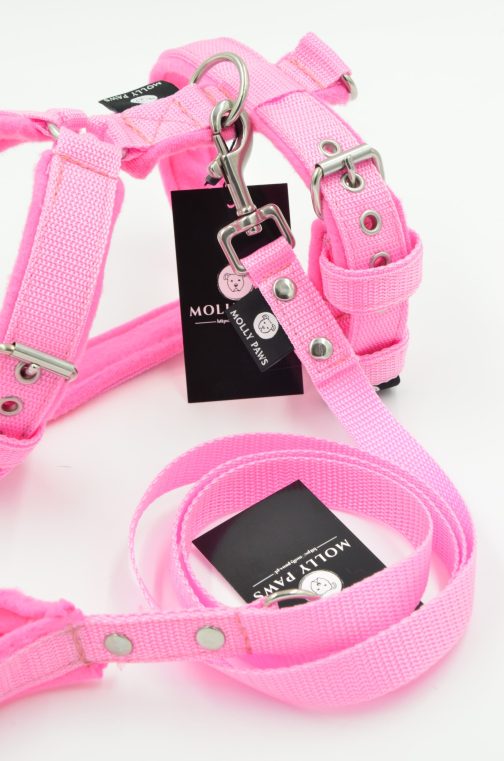 DSC_0315 Smycz z rączką STAL NIERDZEWNA - POLECANE