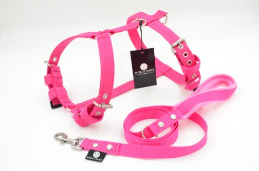 Szelki o szerokości 2.5cm STAL NIERDZEWNA - POLECANE