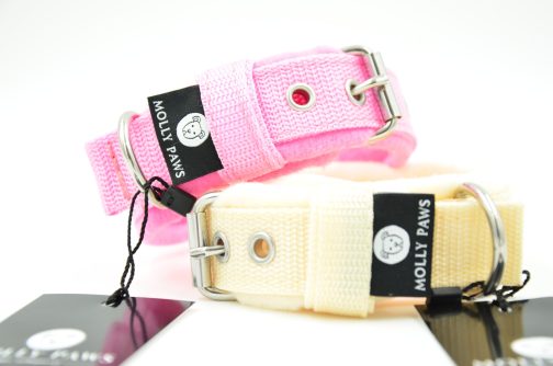 DSC_0546 Obroża z polarem o szer. 2.5cm STAL NIERDZEWNA - POLECANE