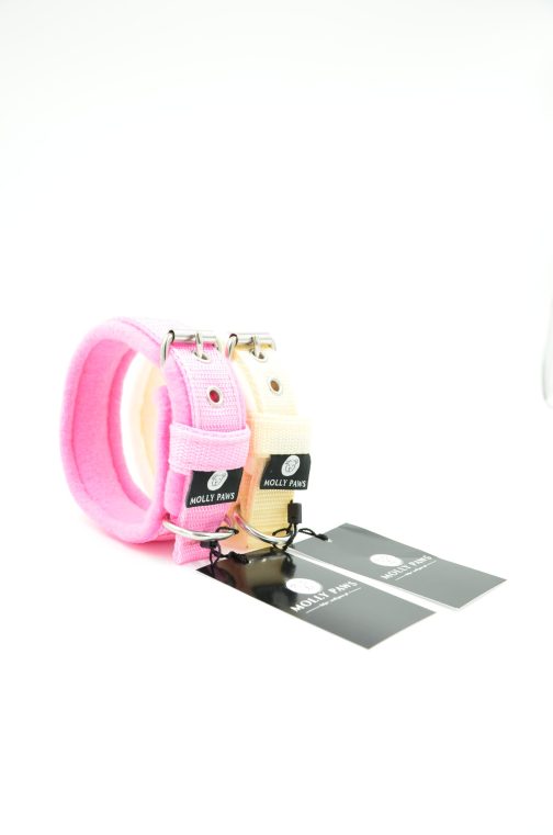 DSC_0552 Obroża z polarem o szer. 2.5cm STAL NIERDZEWNA - POLECANE