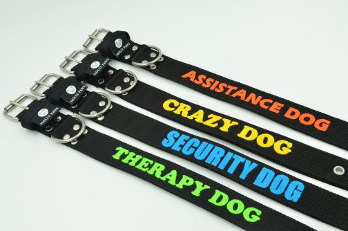 Obroża o szer. 4cm Z Haftem STAL NIERDZEWNA - POLECANE