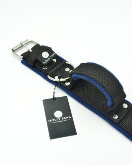 Obroża z polarem i Uchwytem o szer. 4cm STAL NIERDZEWNA- POLECANE