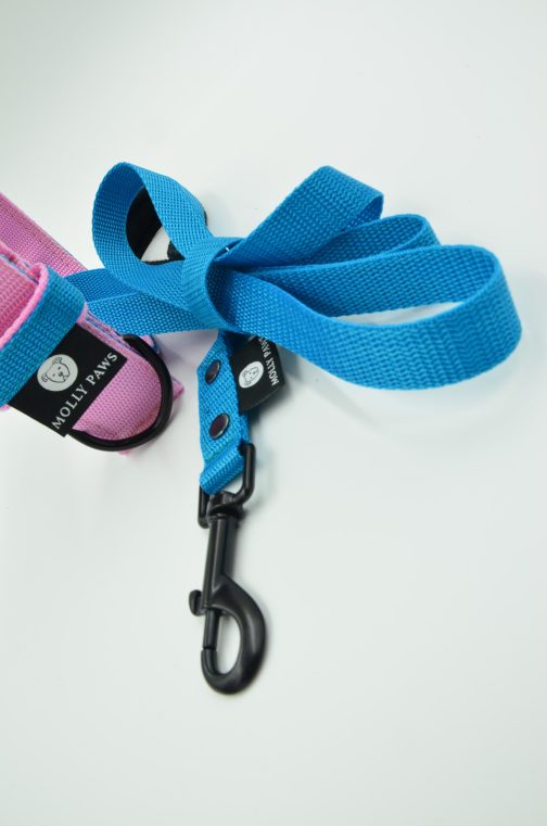 DSC_0169 Smycz z rączką lekka