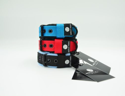 Lekka Obroża z polarem szerokości 2.5cm