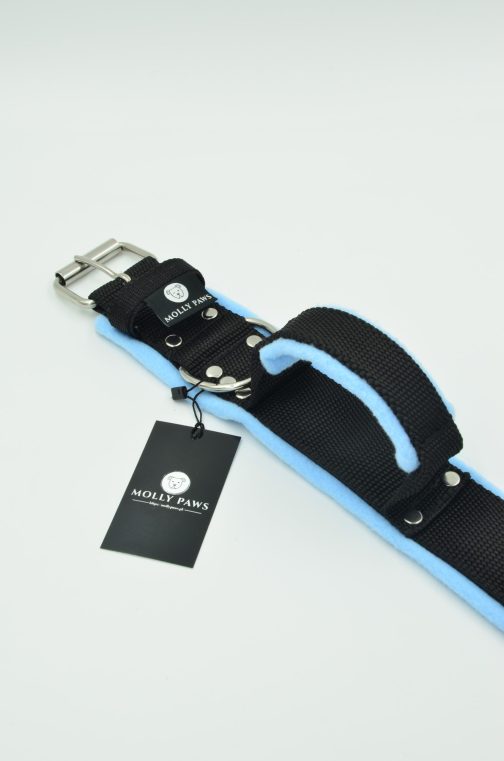 DSC_0207 Obroża z Uchwytem i polarem o szer.5cm STAL NIERDZEWNA- POLECANE