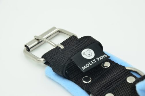 DSC_0211 Obroża z Uchwytem i polarem o szer.5cm STAL NIERDZEWNA- POLECANE