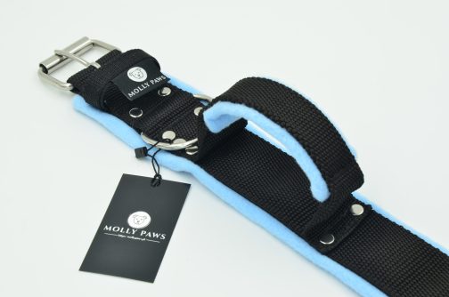 DSC_0214 Obroża z Uchwytem i polarem o szer.5cm STAL NIERDZEWNA- POLECANE