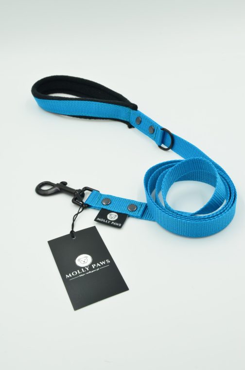 DSC_0270 Smycz z rączką lekka