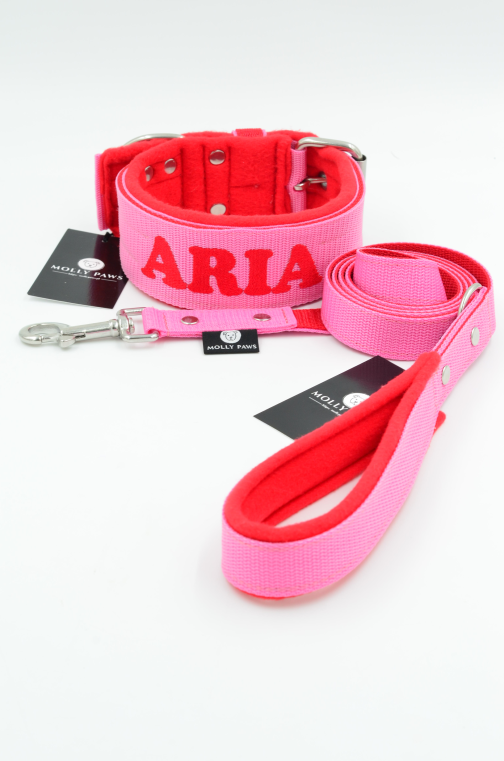 DSC_0287 Obroża z polarem o szer.5cm Z Haftem STAL NIERDZEWNA- POLECANE