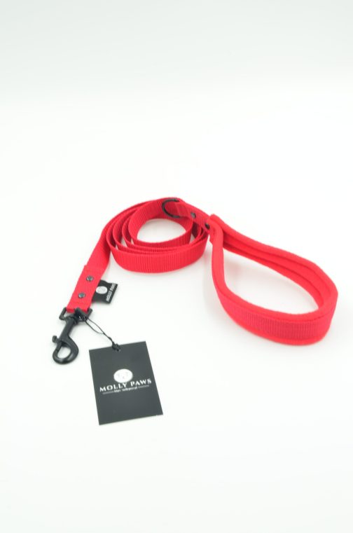 DSC_0527 Smycz z rączką lekka