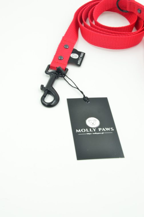 DSC_0530 Smycz z rączką lekka