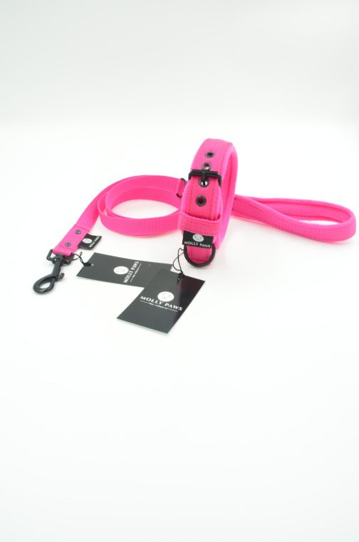 DSC_0544 Smycz z rączką lekka