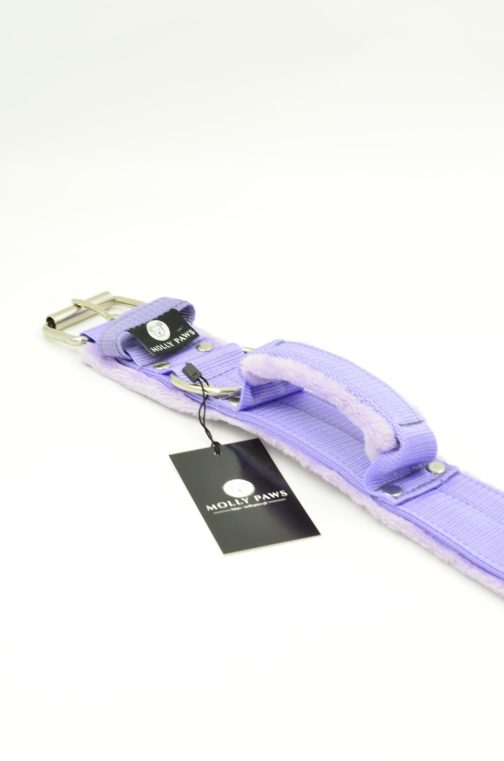 DSC_0680 Obroża z Uchwytem i polarem o szer.5cm STAL NIERDZEWNA- POLECANE