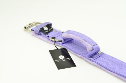 DSC_0681 Obroża z Uchwytem i polarem o szer.5cm STAL NIERDZEWNA- POLECANE