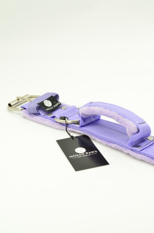 DSC_0682 Obroża z Uchwytem i polarem o szer.5cm STAL NIERDZEWNA- POLECANE