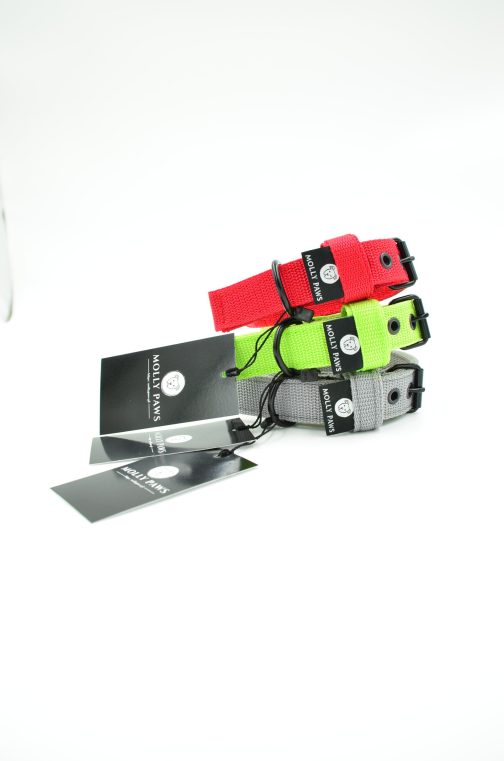 DSC_0715 Obroża o szerokości 2cm lekka