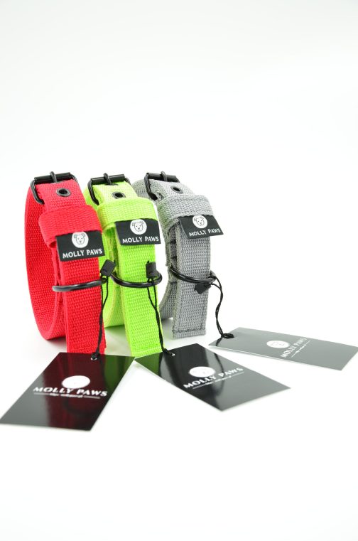 DSC_0716 Obroża o szerokości 2cm lekka