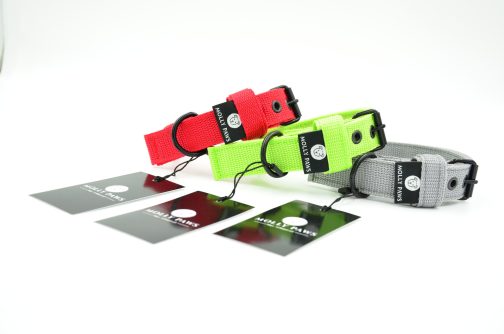 DSC_0728 Obroża o szerokości 2cm lekka