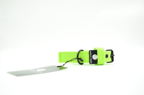 DSC_0732 Obroża o szerokości 2cm lekka