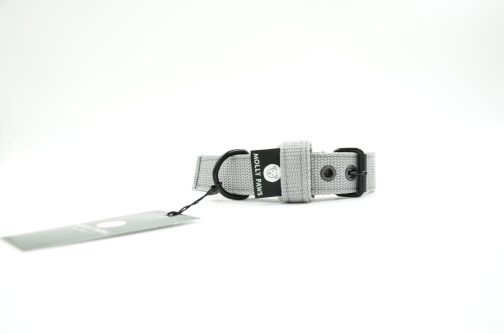 DSC_0733 Obroża o szerokości 2cm lekka