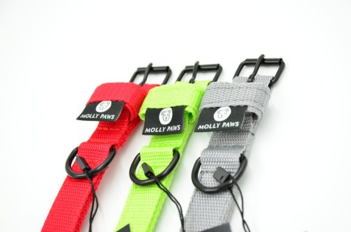 DSC_0735 Obroża o szerokości 2cm lekka