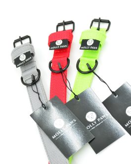 Obroża o szerokości 2.5cm lekka