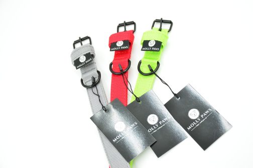 DSC_0741 Obroża o szerokości 2cm lekka