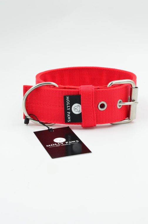 DSC_0778 Obroża o szerokości 5cm