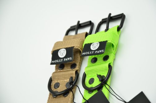 Obroża o szerokości 4cm lekka