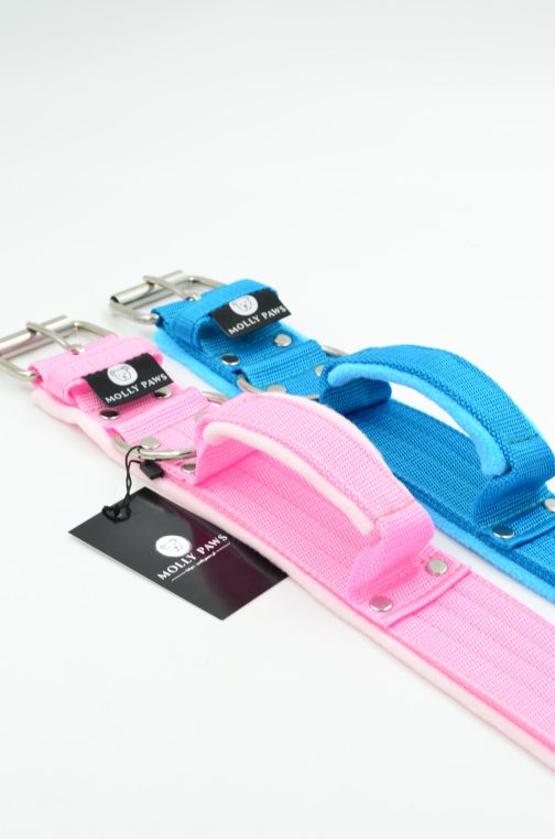 DSC_0807 Obroża z Uchwytem i polarem o szer.5cm STAL NIERDZEWNA- POLECANE