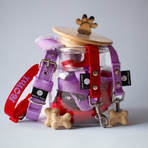 Obroża o szer. 3cm z Haftem STAL NIERDZEWNA - POLECANE